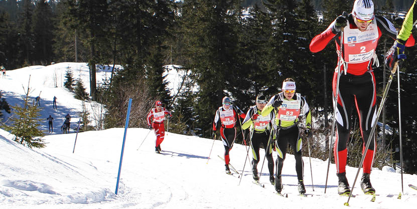 skadi loppet