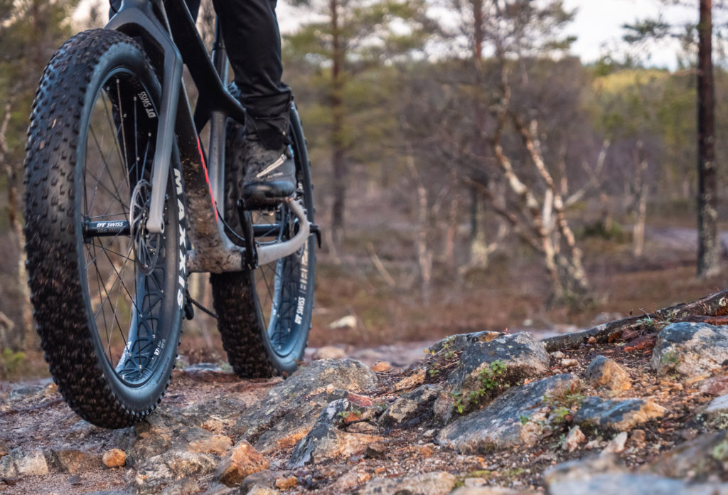 Canyon Dude CF 8 Maxxis Minion
