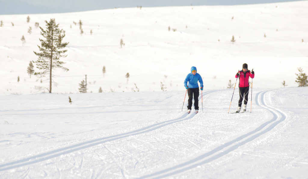 Pyöräilijän talviharjoittelu - hiihto kannattaa