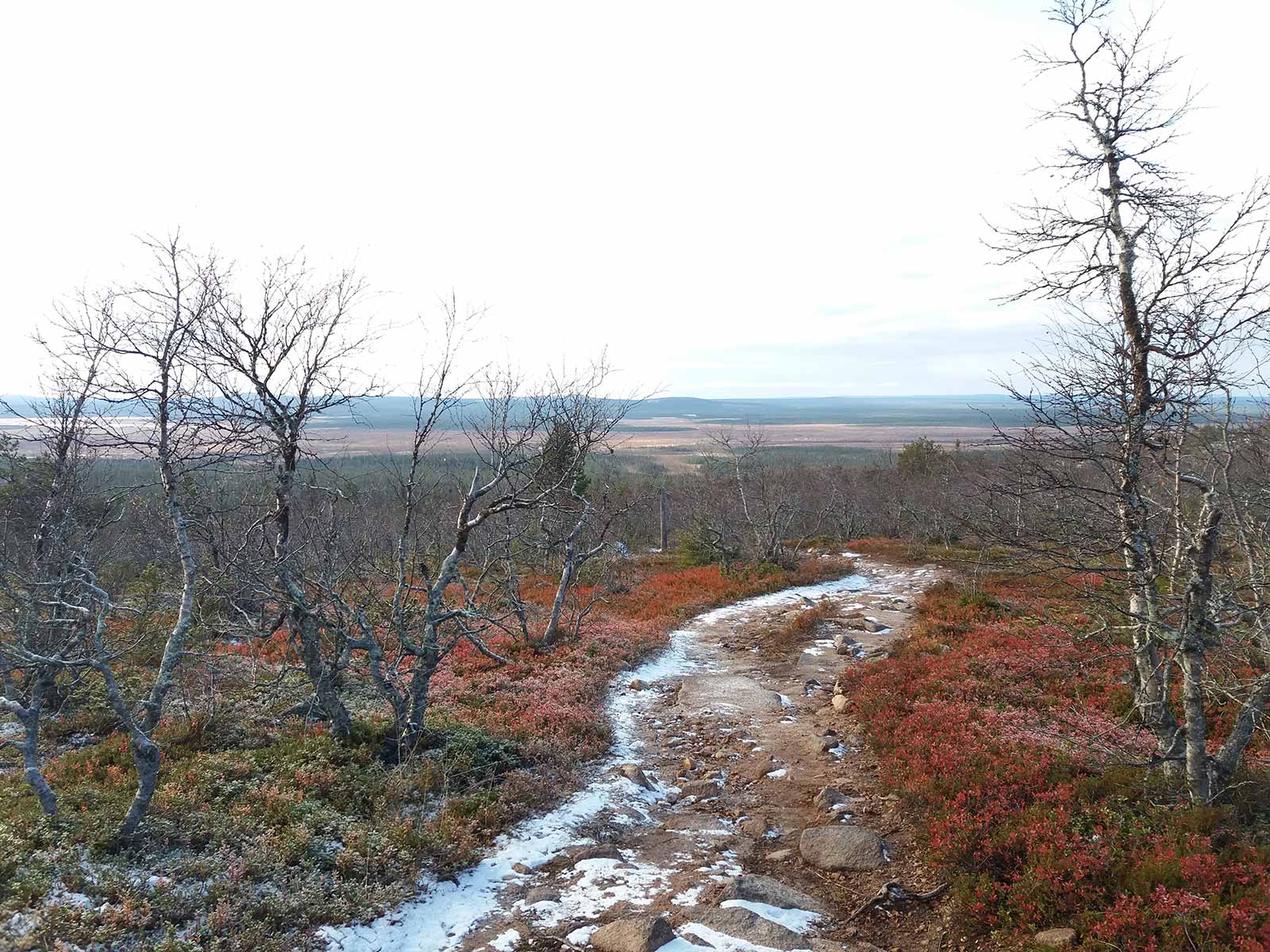 Nattastunturit