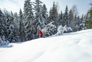 Liukulumikenkä