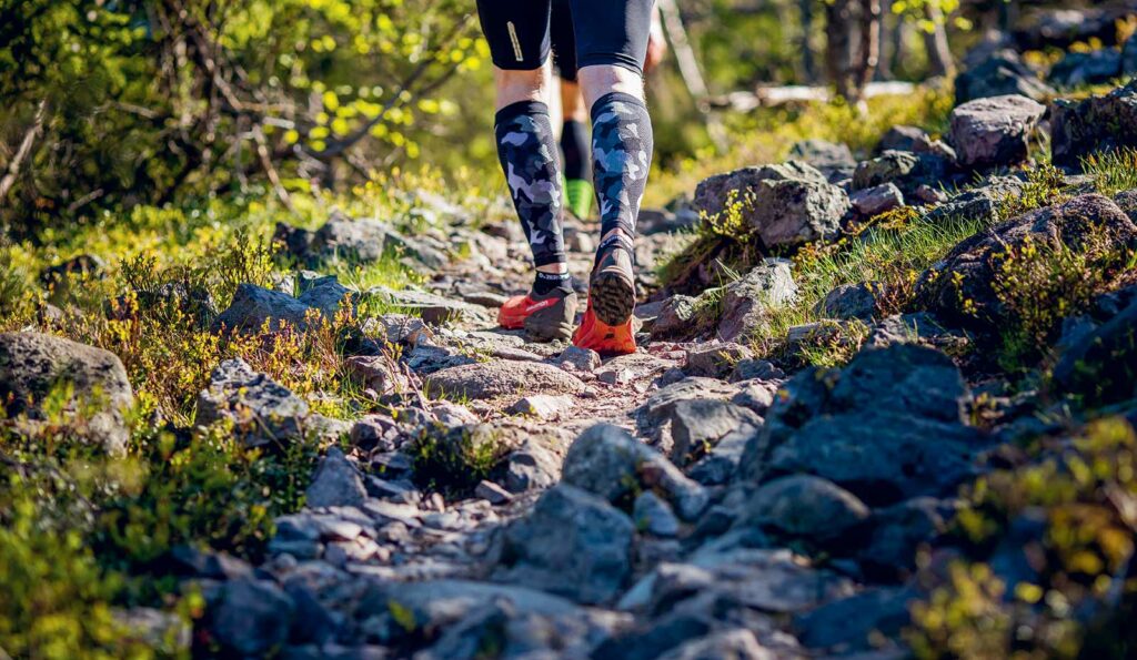 harjoitusohjelma