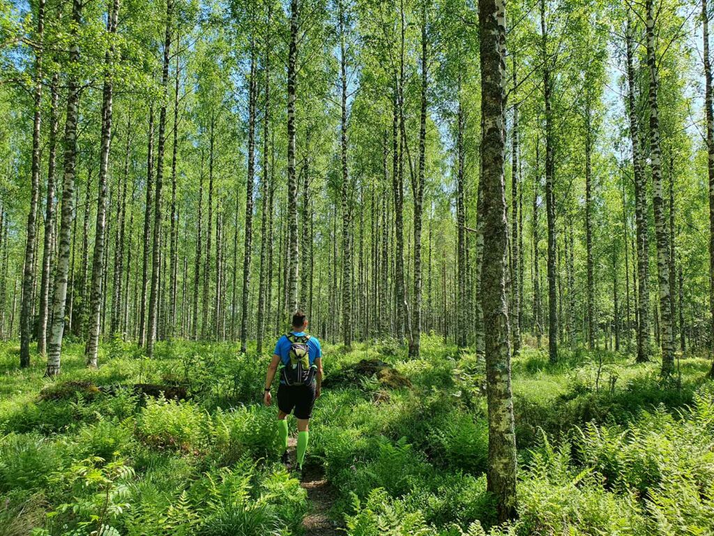 KOLI