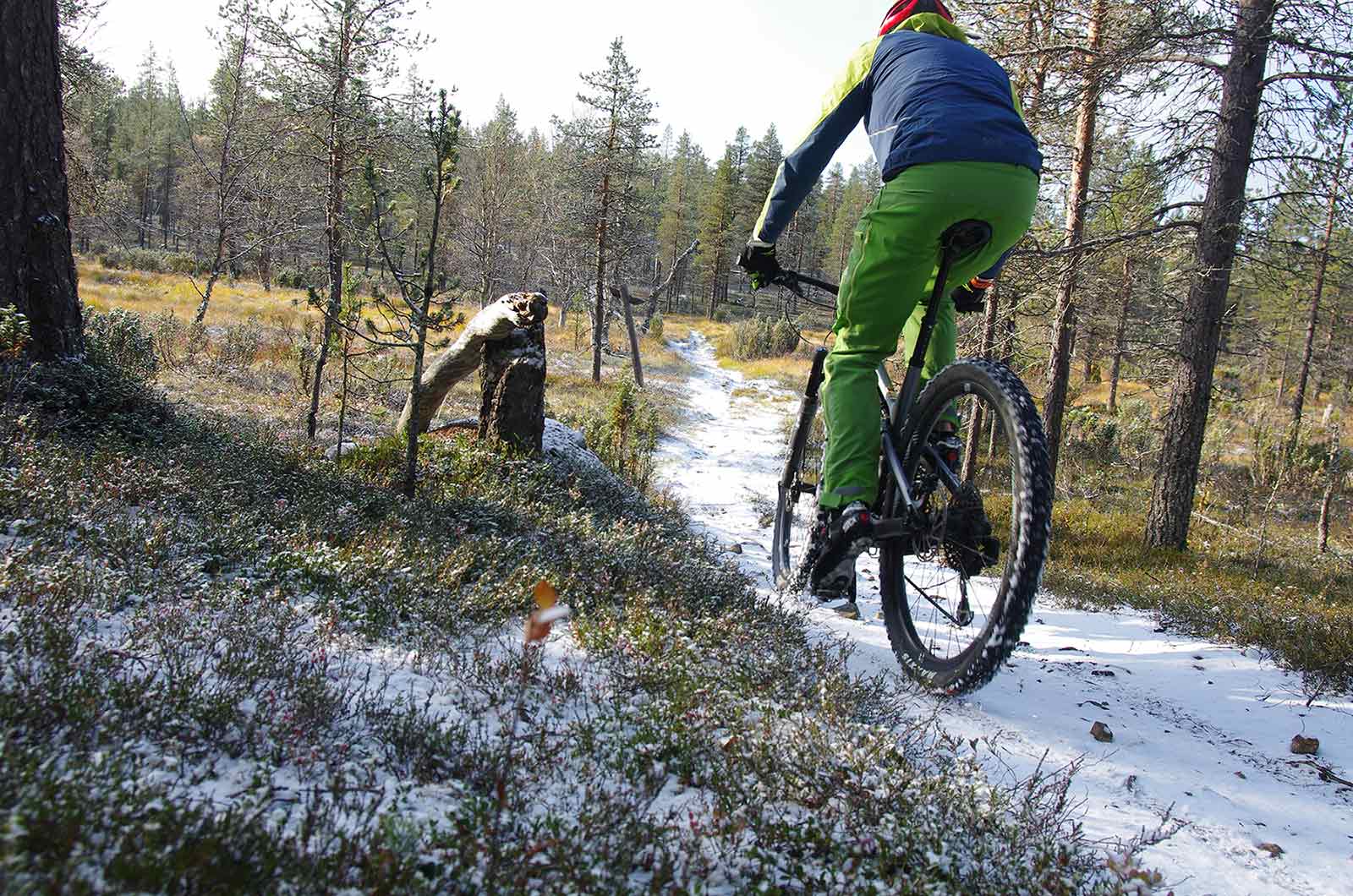 Sami Jauhojärven harjoitusohjelma Finlandia-hiihtoon