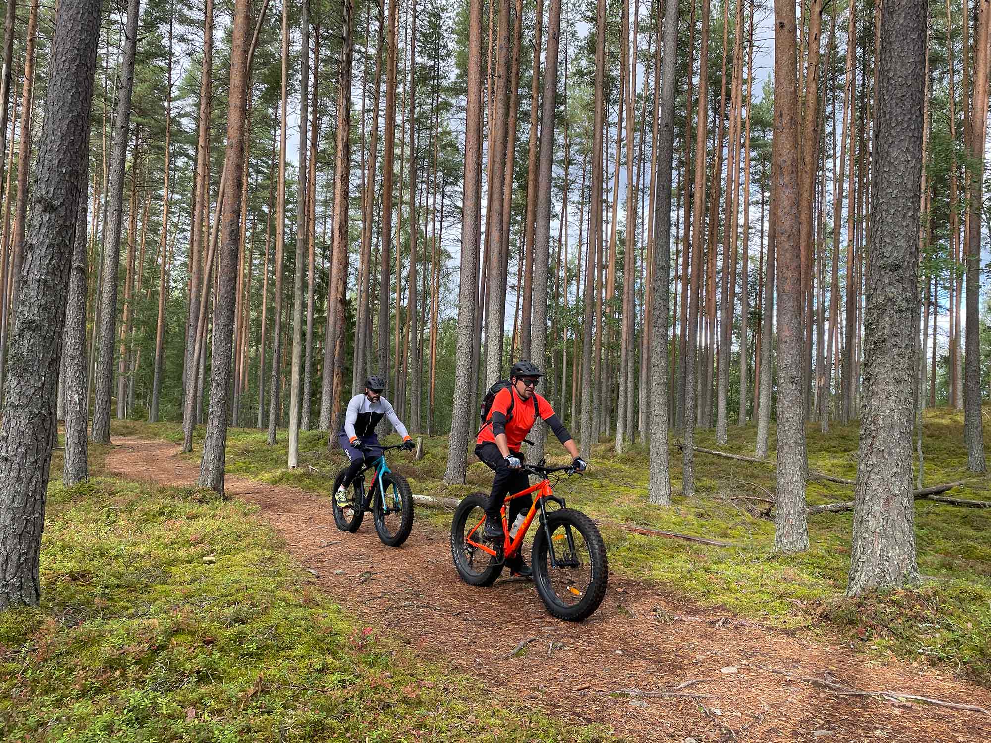 kansallispuisto keski-Suomi