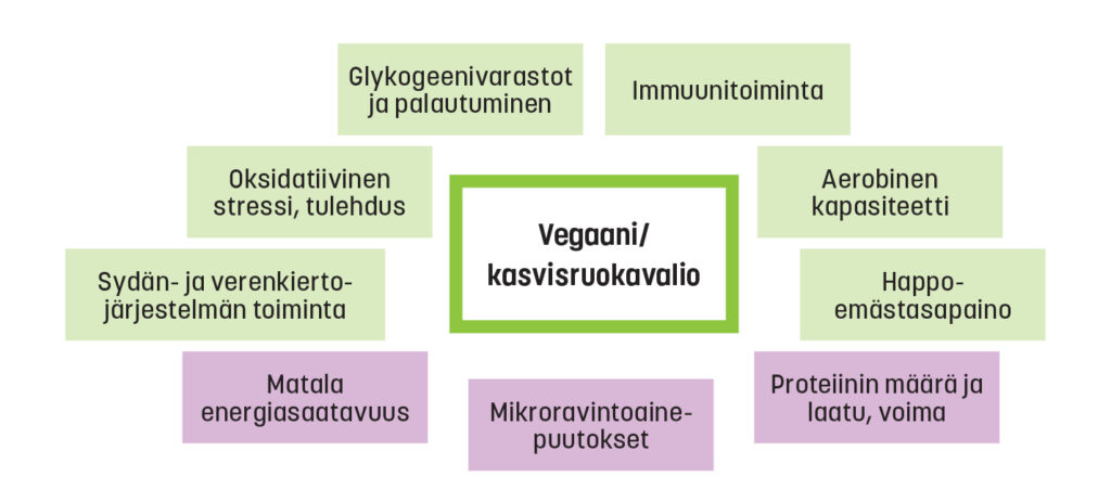 kasvisuoka hyödyt