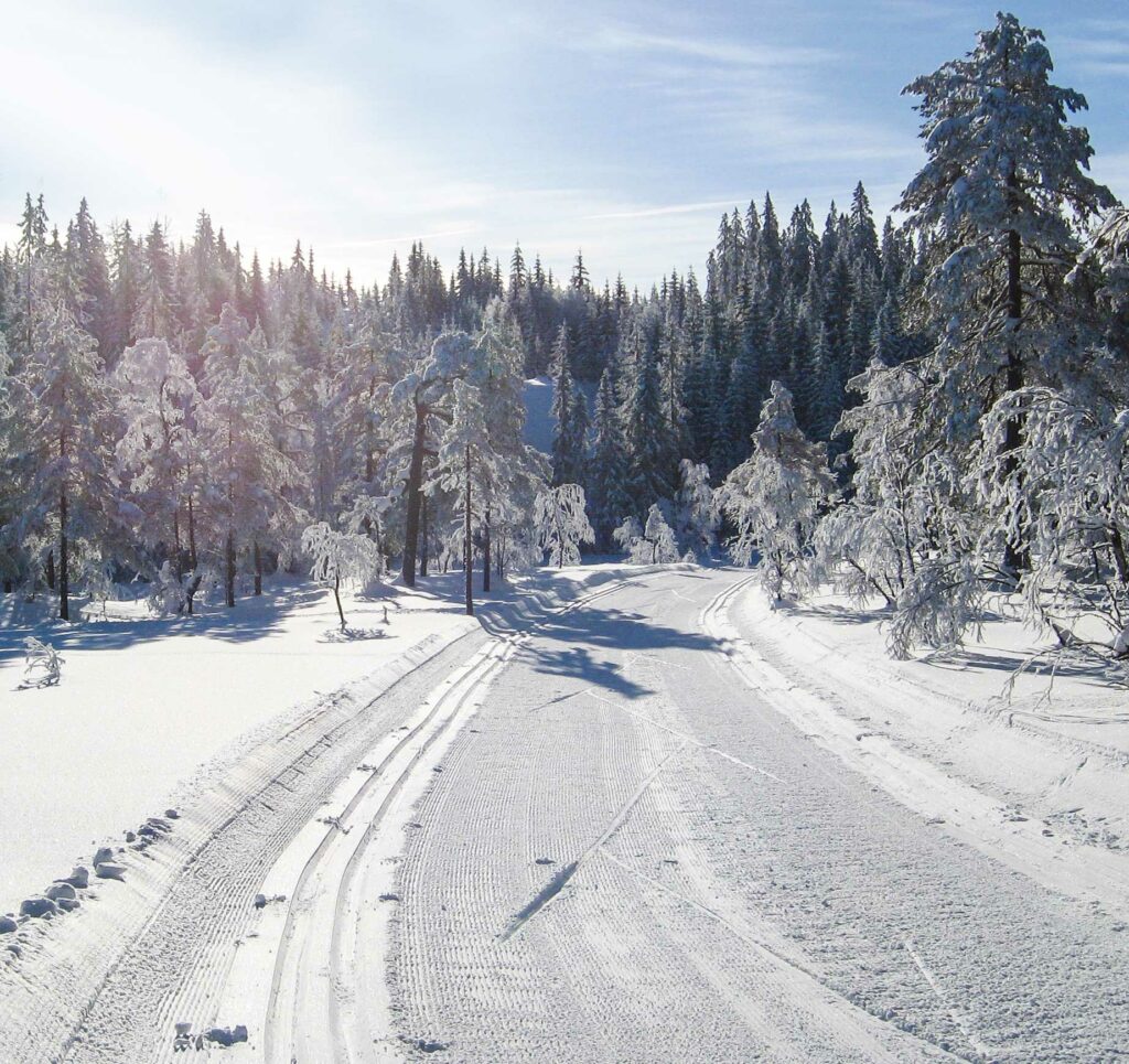 seuraa sykettä