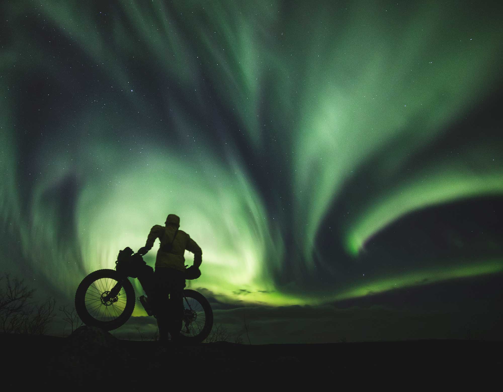 Arctic by Cycle