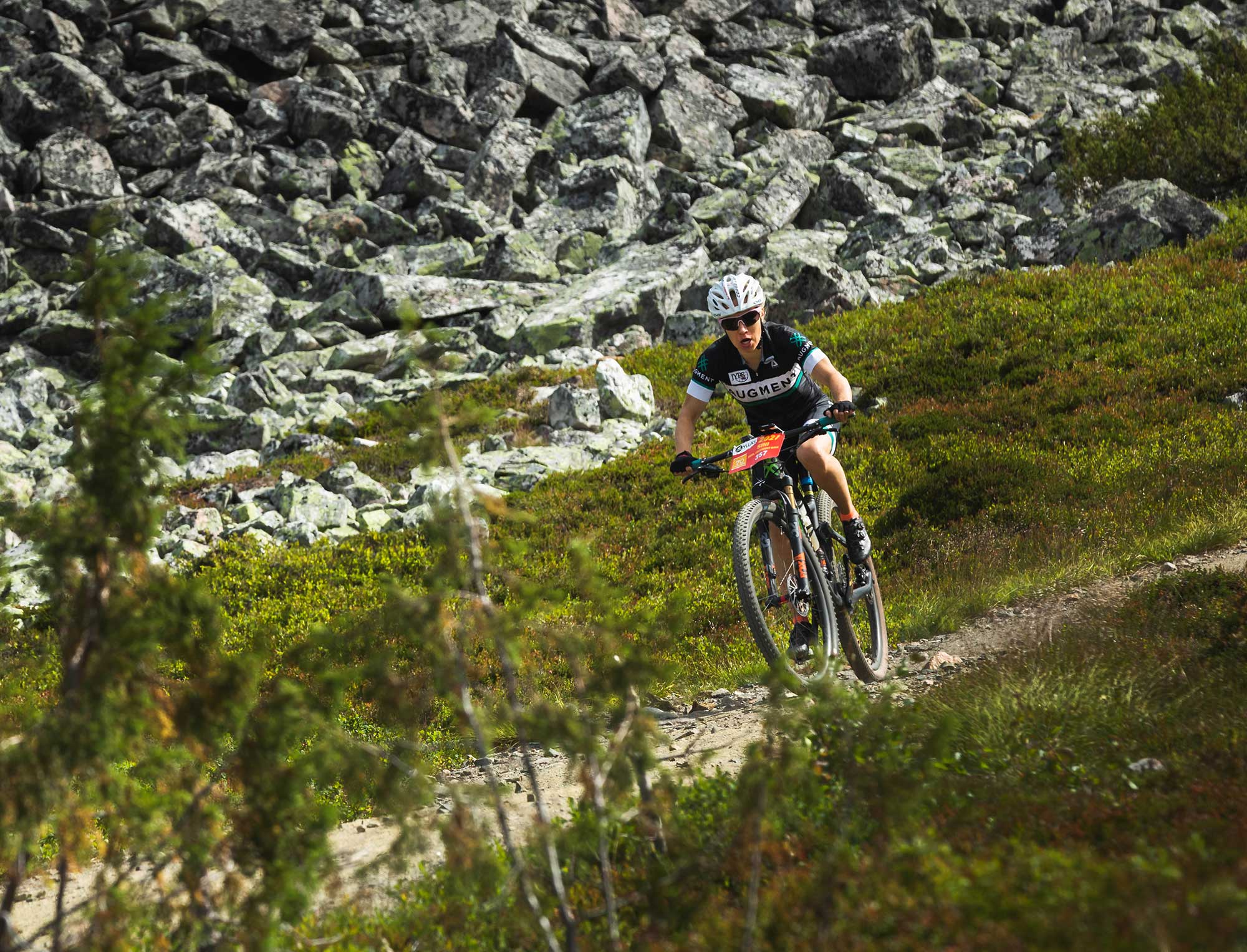 Nuts MTB