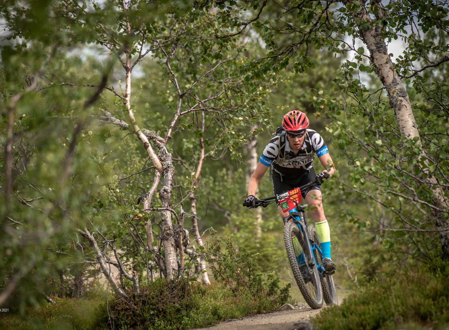 Nuts MTB