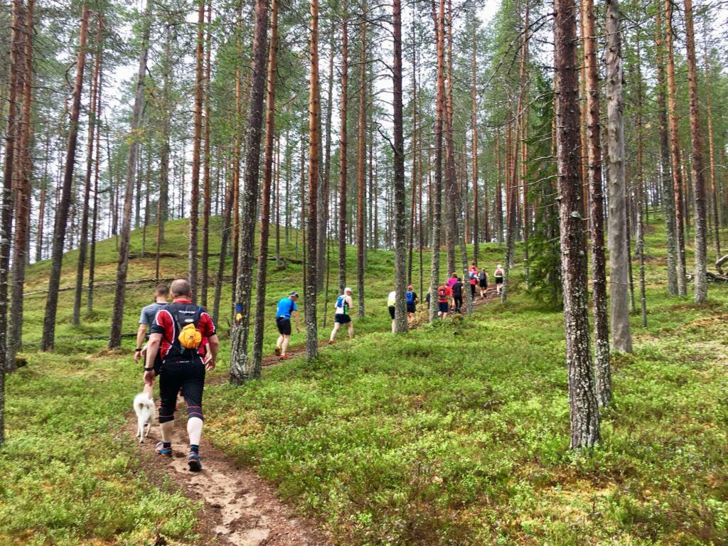 Kansallispuistot 