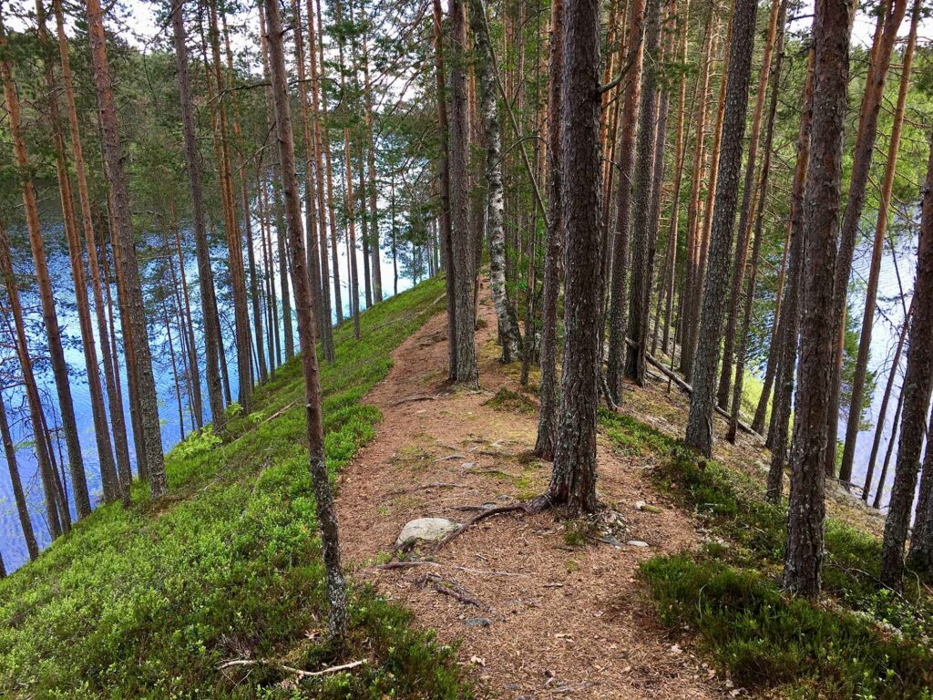 Kansallispuistot