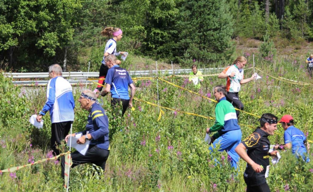 Sikasuunnistus