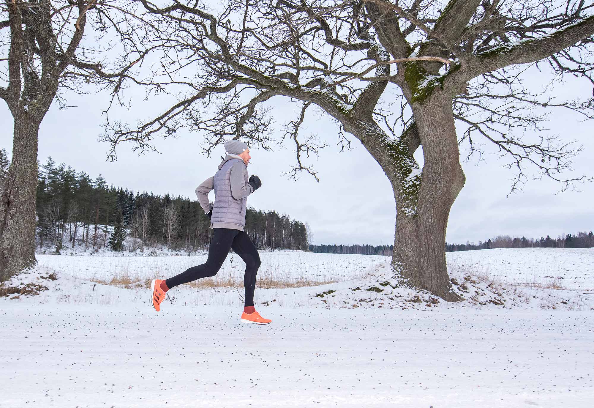 tavoitteellinen treenaaminen