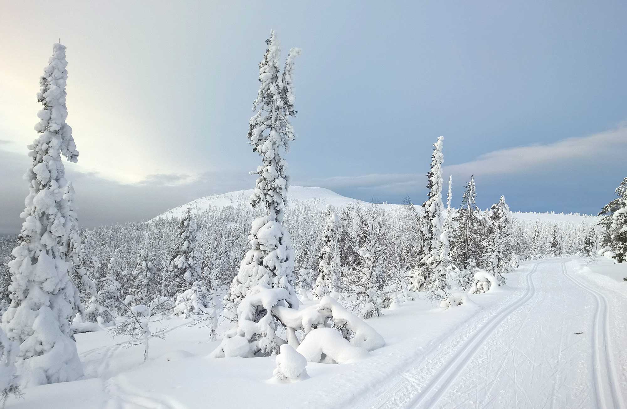 Ylläs