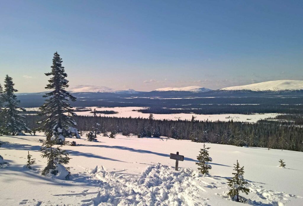 Ylläksen ladut