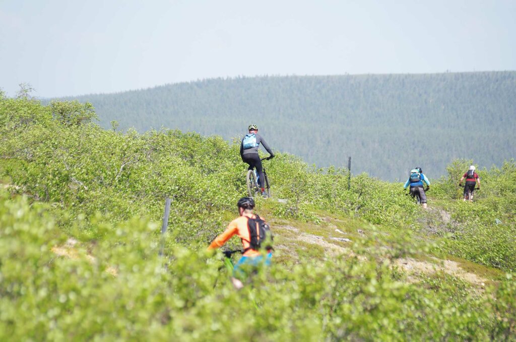 Sähköpyörien mahdollisuudet