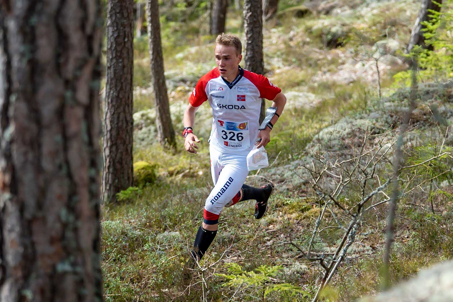 Norjan maailmancup