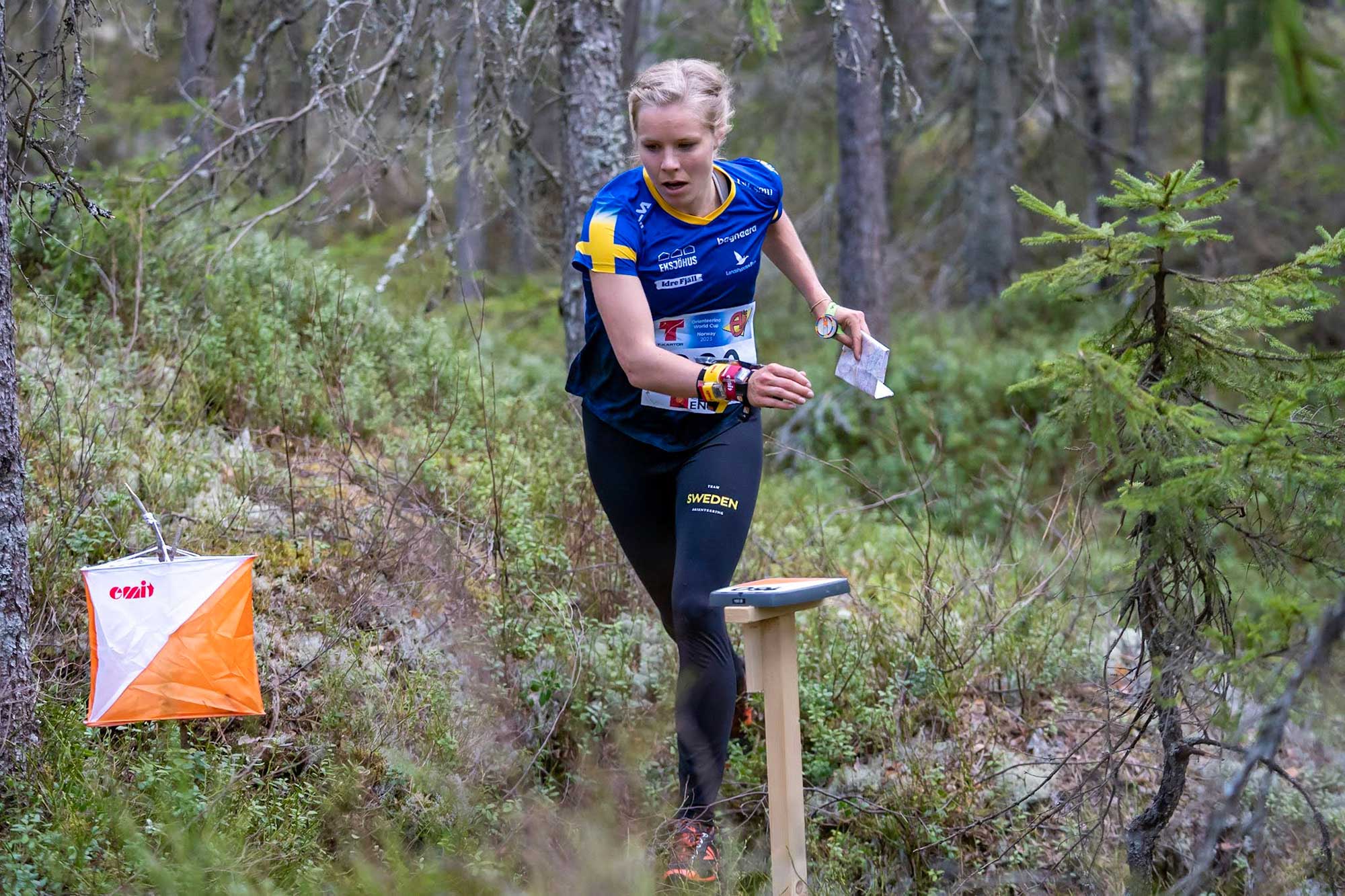 Norjan maailmancup