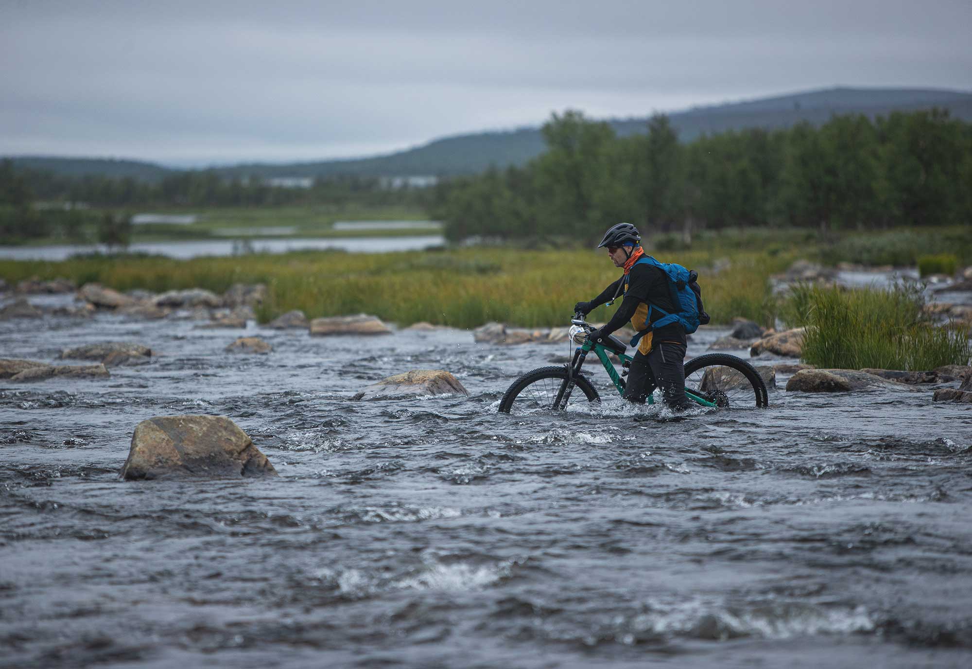 Kaldoaivi