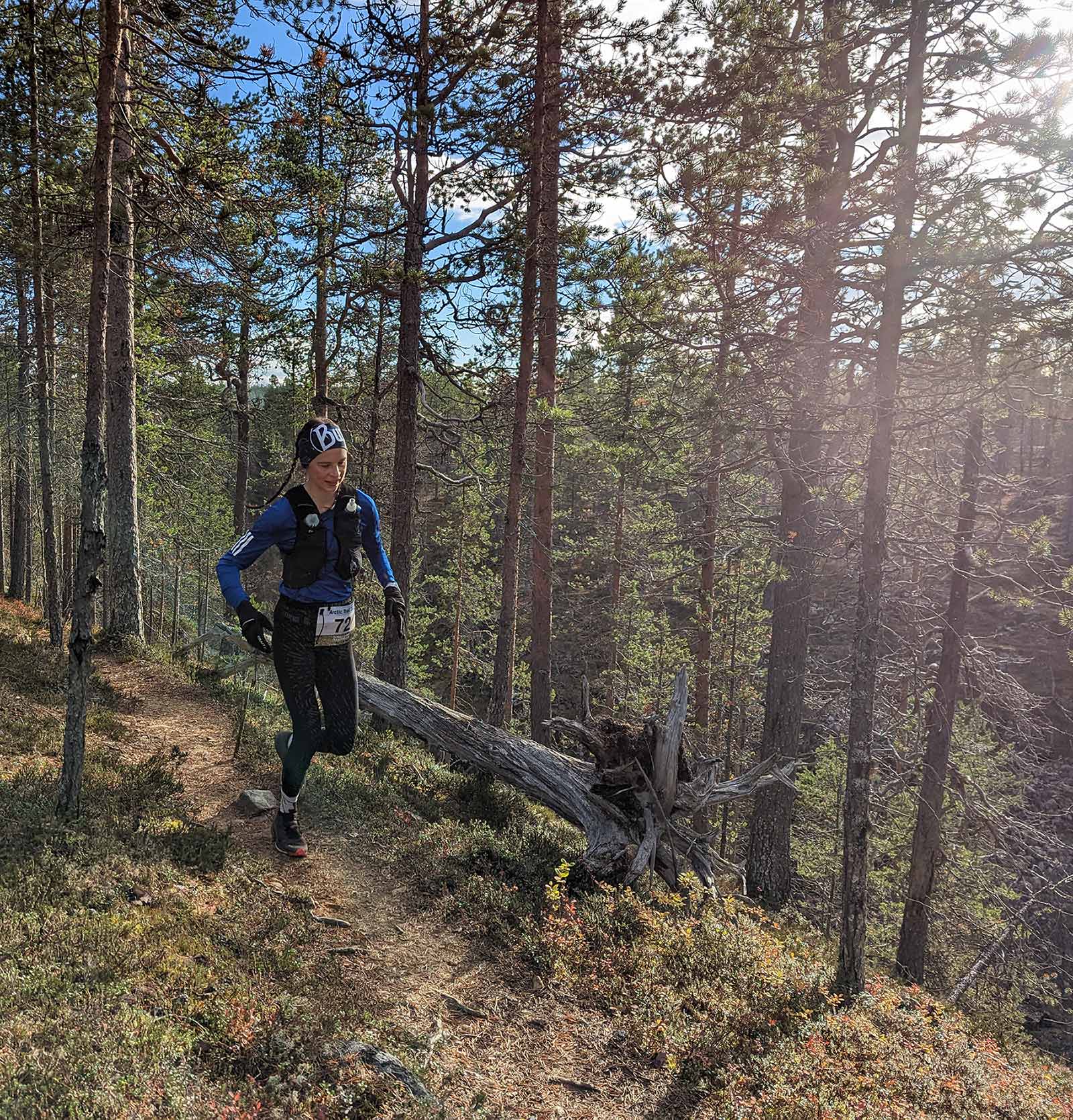 Arctic Trail 