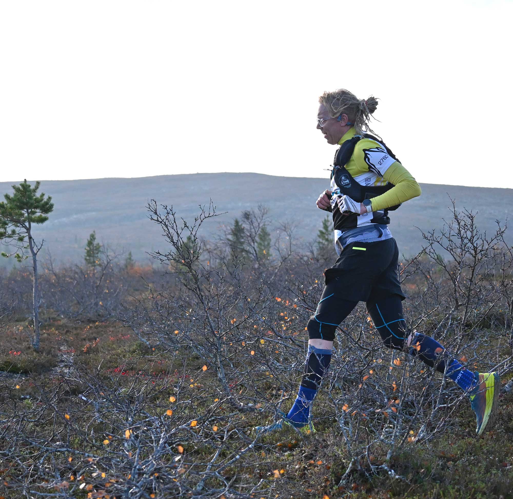 Arctic Trail 