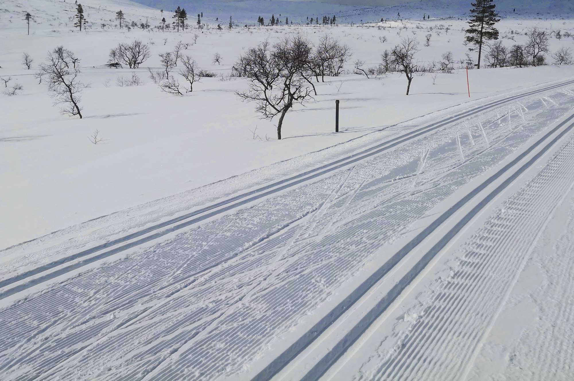 Kilpamallin luistelusuksi