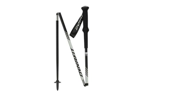 Dynafit Alpine Pro Pole